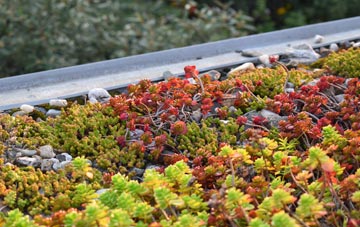 the cost of Little Ingestre green roof installation
