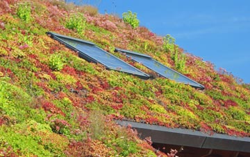Little Ingestre living roof systems